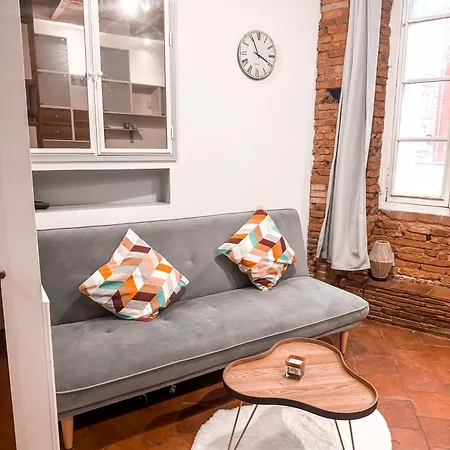 Apartment Typique Toulousain