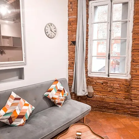 Typique Toulousain Apartment Toulouse